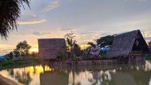 Wisata Pematang Johar