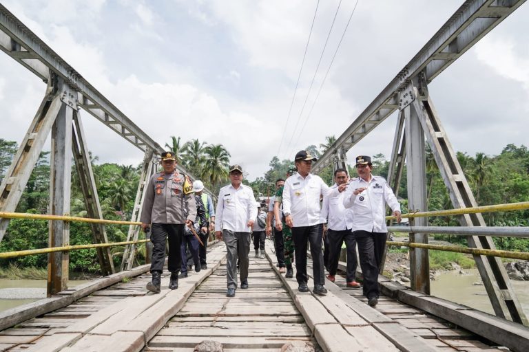 Jembatan Nias Barat4