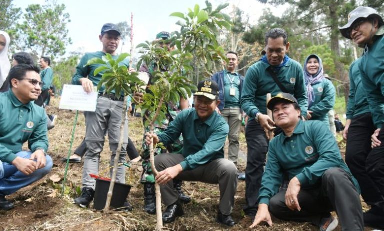 Penanaman-Pohon-di-Sipolha-1-780x470