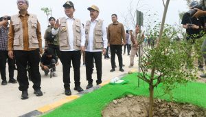 Penanaman Pohon_7