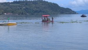 IMG-20240912-WA0066