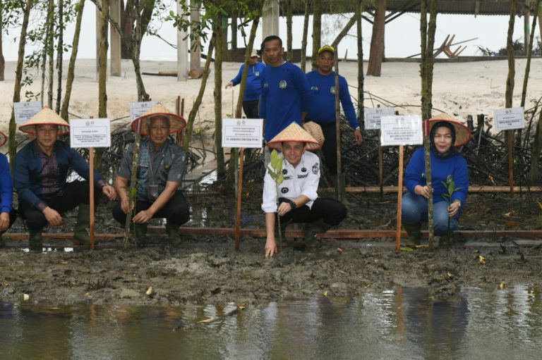 Hari Menanam Pohon Indonesia 2