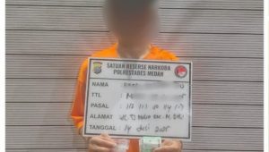 6222025194549