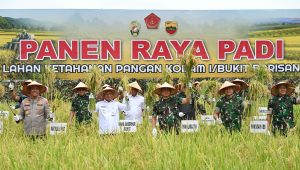 Wagubsu_Panglima TNI_Panen Raya Padi 5