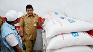 peresmian koperasi merah putih 8
