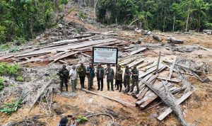 medium_20251129_174834_0b521f1d41