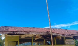 IMG-20260511-WA0011