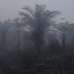 IMG-20260912-WA0007